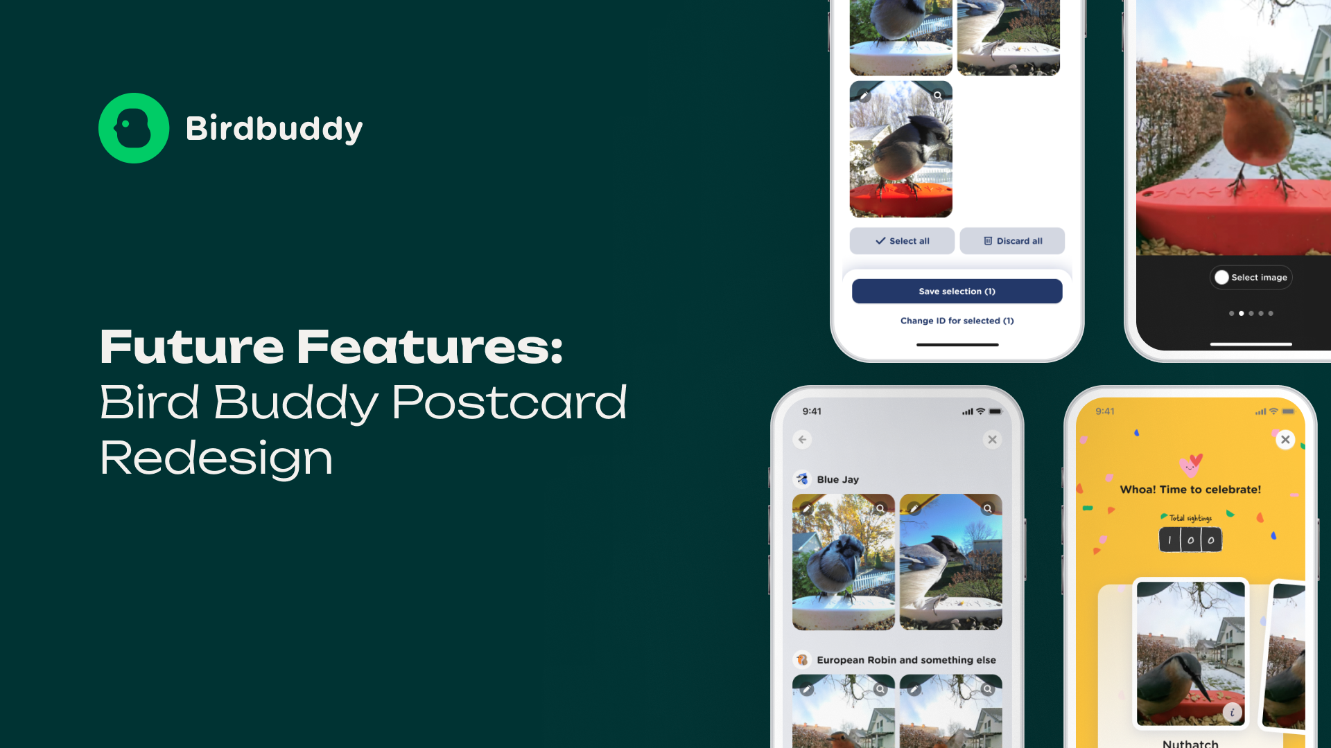 Bird Buddy Redesigns Postcard Feature Bird Buddy Blog